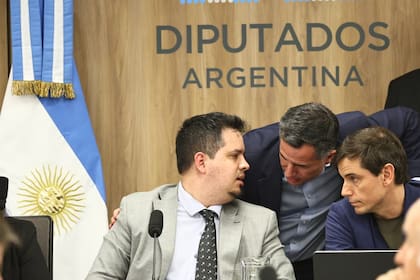 Bornoroni, jefe de bloque de LLA, habla con el libertario Pauli, presidente de la Comisión de Finanzas en Diputados