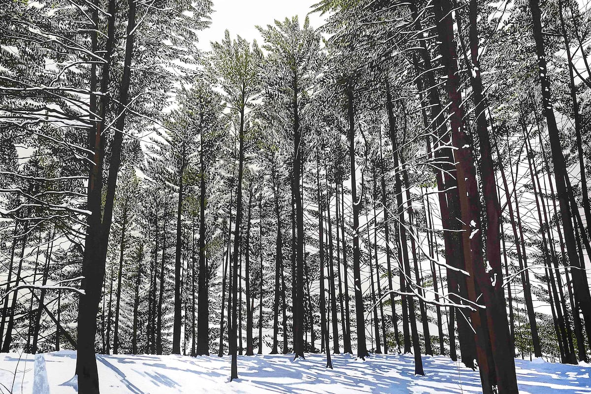 “Bosque al costado de la ruta”, obra de Sofía Wiñazki
