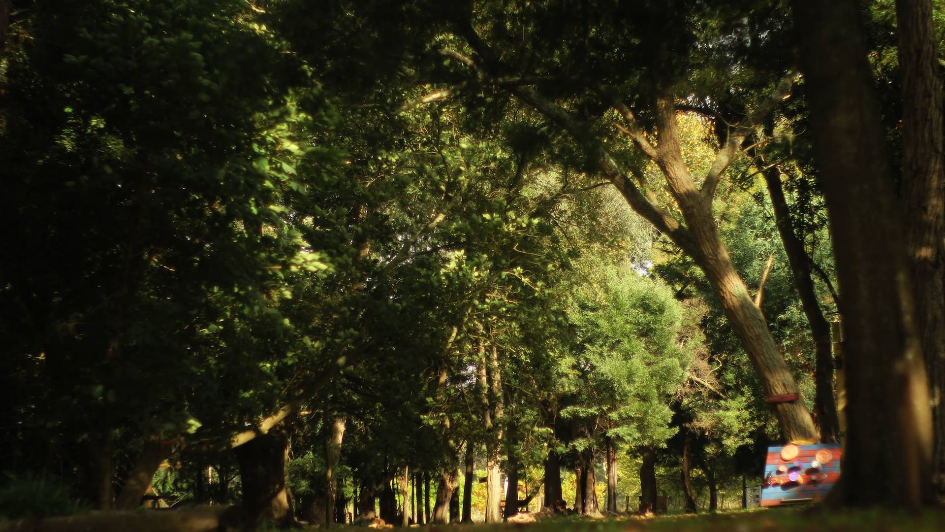 Bosque recreativo, General Belgrano, provincia de Buenos Aires