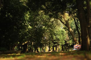 Un pueblo bonaerense alejado del circuito turístico con termas, bosques y mucha naturaleza