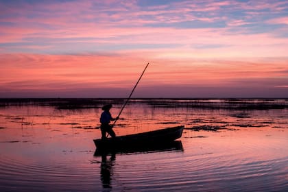 Bote en los Esteros del Iberá.