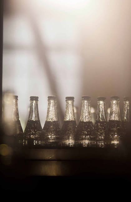 Botellas en la fábrica de agua Salus.