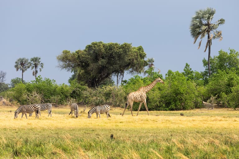 Botswana