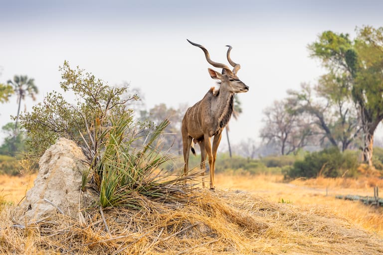 Botswana