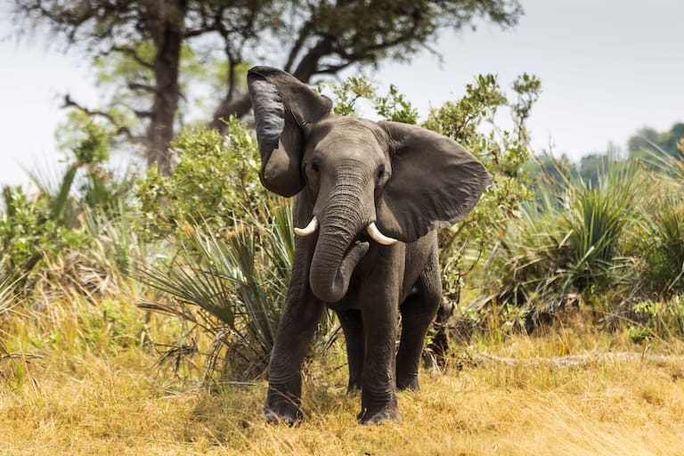 Botswana