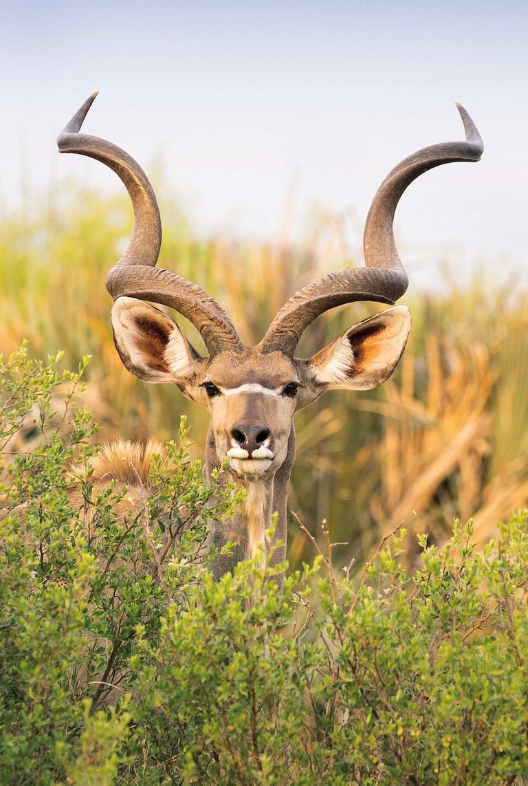 Botswana