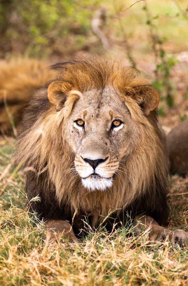 Botswana