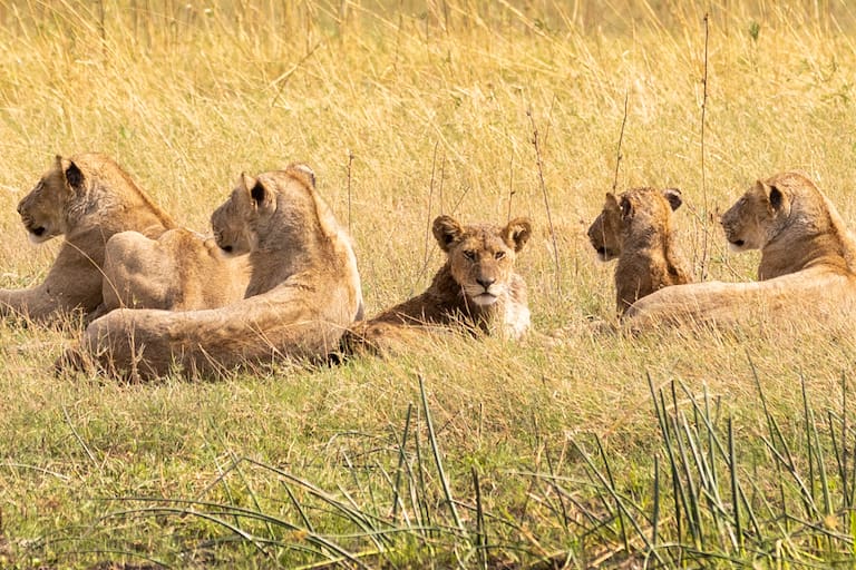 Botswana