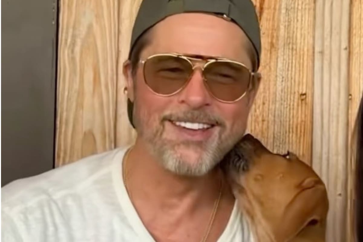 Brad Pitt reflexionó sobre su cariño por los perros y aseguró que la vida es mejor con ellos (Foto: Instagram @heartofthebeast)