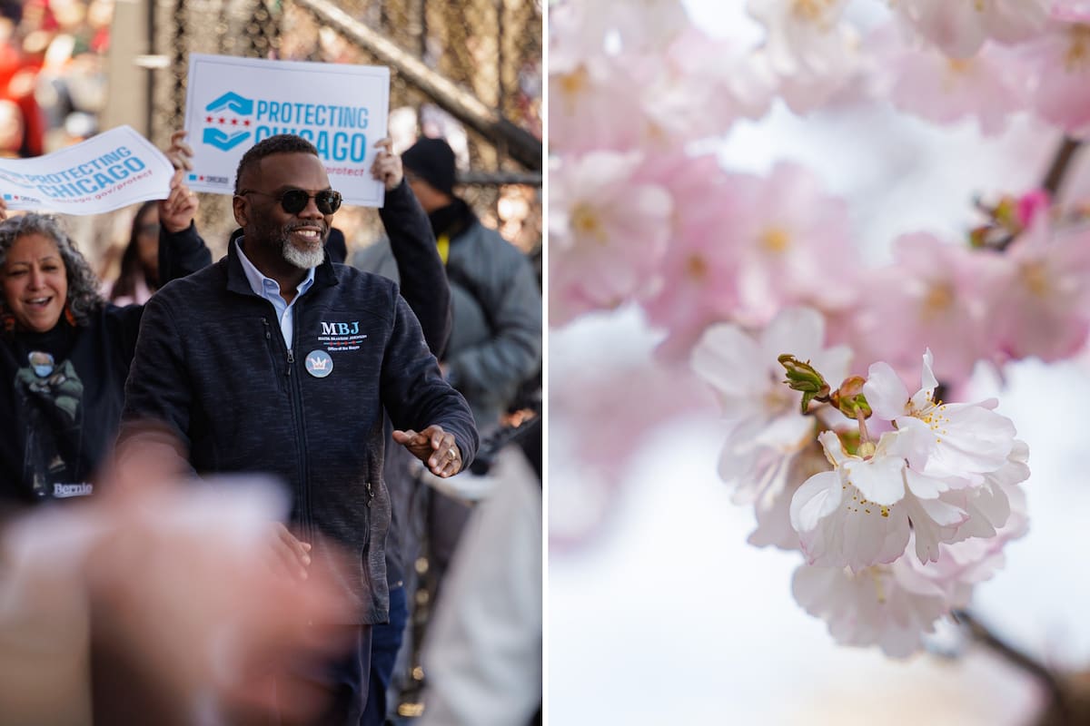 Brandon Johnson celebró la llegada de la floración de los cerezos en el histórico Jackson Park de Chicago
