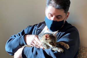 Brandy se extravió en 2005 cuando tenía solo unos pocos meses de vida