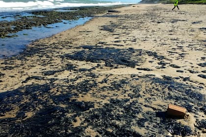 El petróleo derramado en la playa de Pontal de Coruripe en el municipio de Coruripe, estado de Alagoas, Brasil