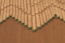 Golpe en Chicago: la soja retrocedió a su valor más bajo en dos meses tras las elecciones en Brasil y un dato de Estados Unidos