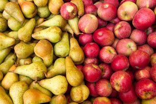 En la Patagonia, los frutos de pepita (peras y manzanas) y las cerezas se encuentran bajo el Programa Nacional de Control y Erradicación de Mosca de los Frutos (Procem)
