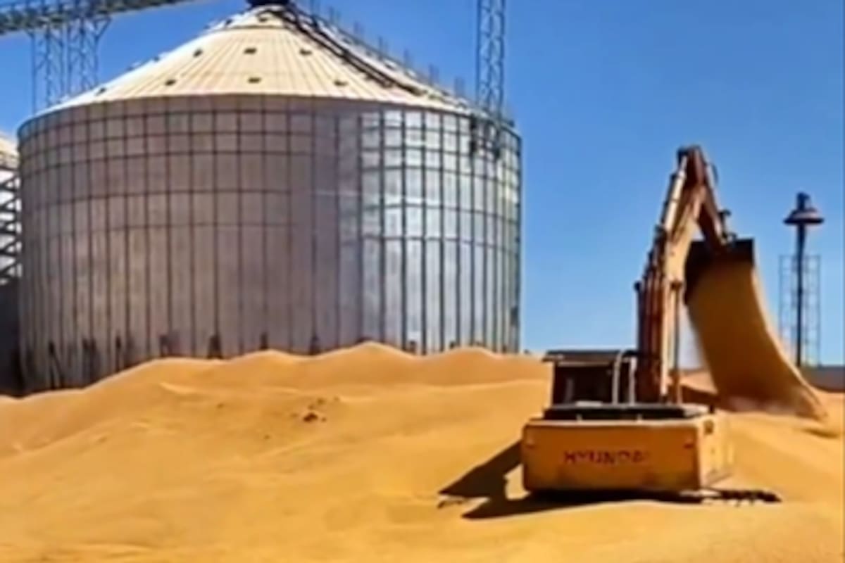 Brasil produce más, pero en términos porcentuales una proyección da un salto mayor para la Argentrina