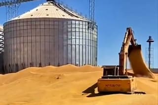 La Argentina tendrá un mayor ritmo de crecimiento que Brasil en maíz hacia 2036, según un importante estudio