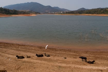 La sequía se hace visible en la represa Jaguari, parte del sistema Cantareira, que provee agua a la zona metropolitana de San Pablo