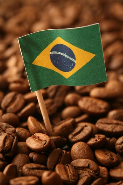 Brasil y otros países latinoamericanos como Colombia, Perú o Guatemala figuran entre los principales productores y exportadores de café del mundo