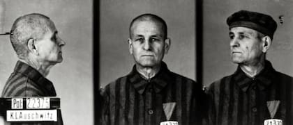 Brasse debía tomar fotos para el Departamento de Identificación de Auschwitz (Getty Images)