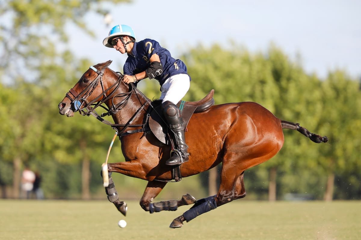 Brava Polo, de Adolfo Cambiaso y con su hijo Poroto dentro del equipo, derroto en el repechaje por 13-8 a Cría Gete y se convirtió en el octavo equipo preclasificado a la Triple Corona 2021. Con Poroto Cambiaso.