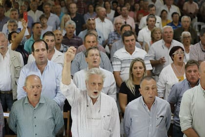 Brazo en alto. Mario Llambías, expresidente de CRA y uno de los líderes de 2008