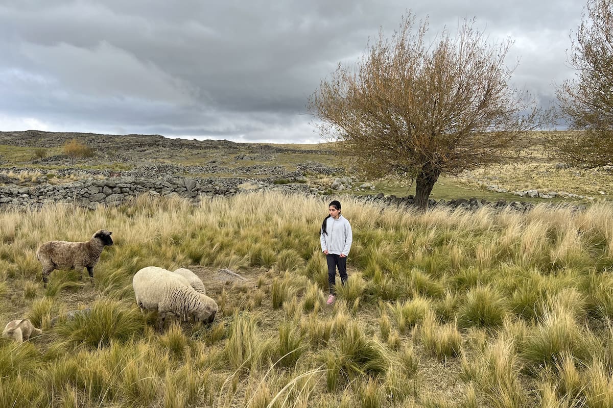 Brenda Altamirano tiene 10 años y vive en Los Gigantes, Córdoba; de lunes a viernes, asiste a una escuela albergue