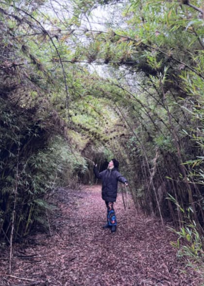 Brenda se fotografió en un sendero rodeado de cañas de bambú (Foto: Instagram/@brendagandiniok)