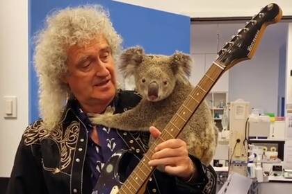 Al ser elegido como mejor guitarrista, Brian May superó a leyendas como Jimi Hendrix, Eric Clapton, Jimmy Page, Eddie Van Halen, Stevie Ray Vaughan y Tony Iommi