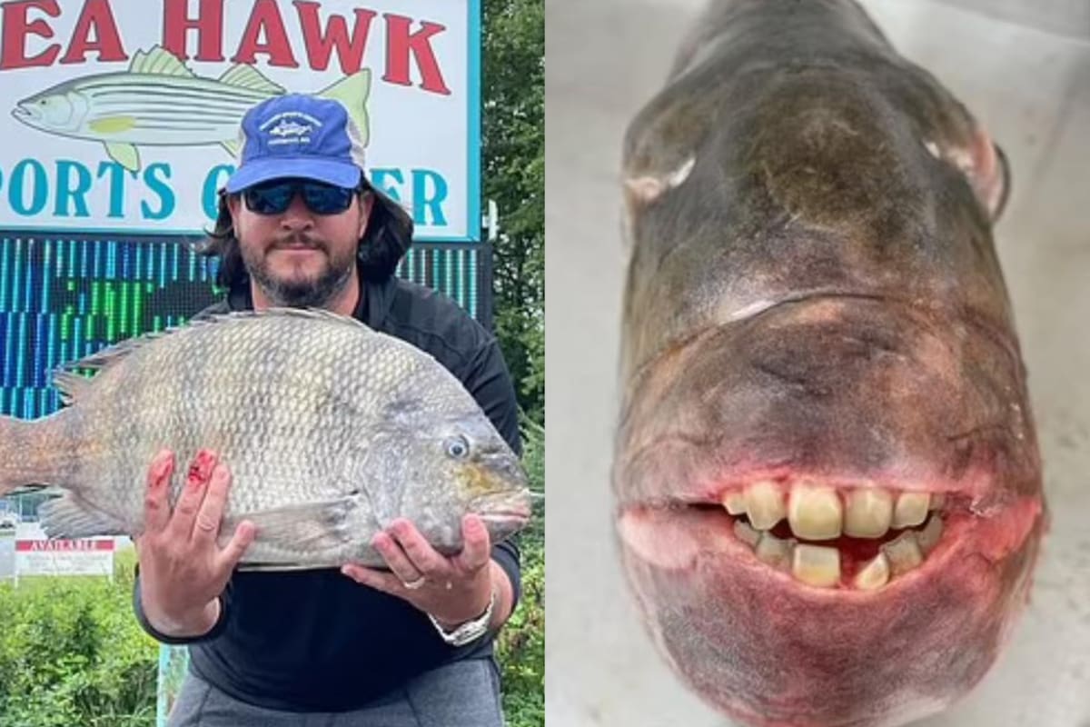 Brian Summerlin, de 38 años, sosteniendo el pez récord (Foto: DailyMailUK)