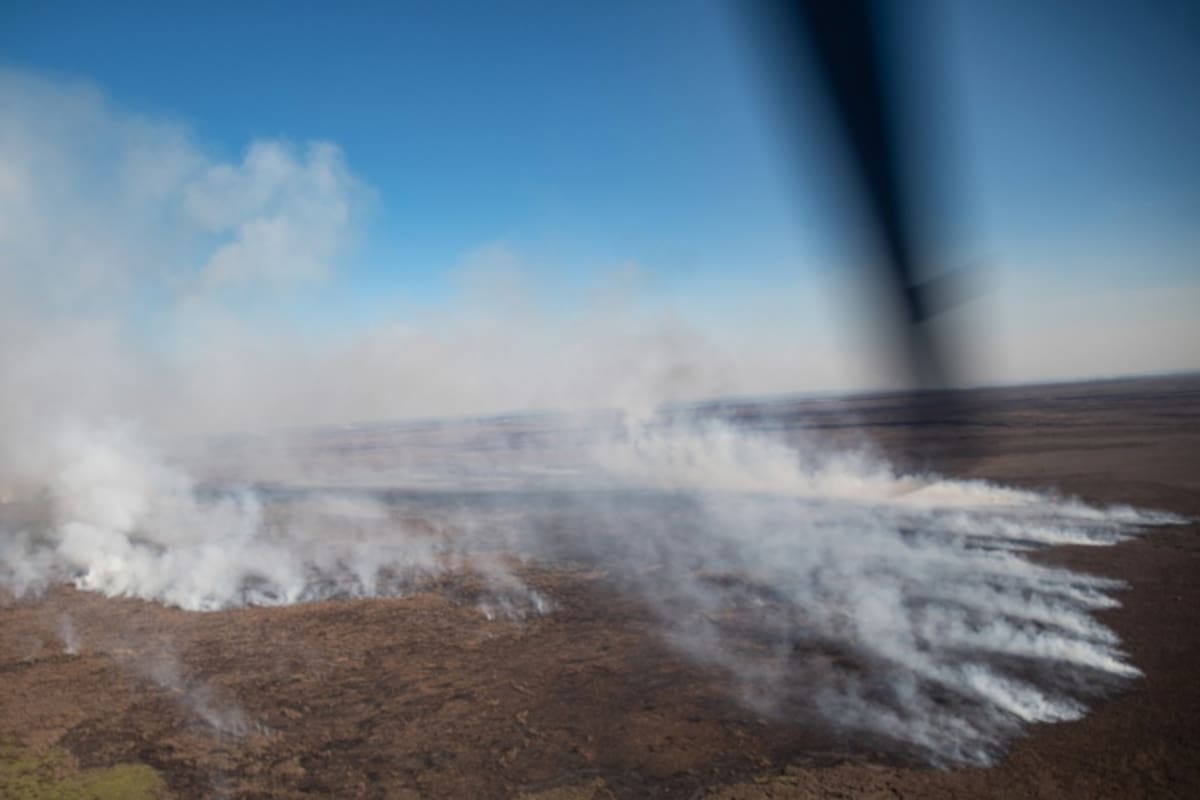 Brigadistas de distintas provincias trabajan para combatir los incendios en la zona.