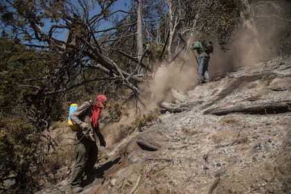 Brigadistas y vecinos de la zona de Rinconada Nahuelpan intentan contener el incendio forestal en cercanías de El Bolsón