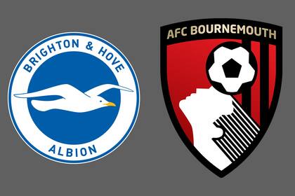 Brighton and Hove Albion-Bournemouth
