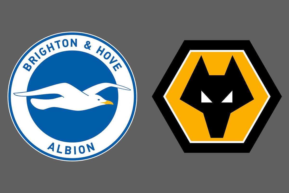 Brighton and Hove Albion-Wolverhampton Wanderers