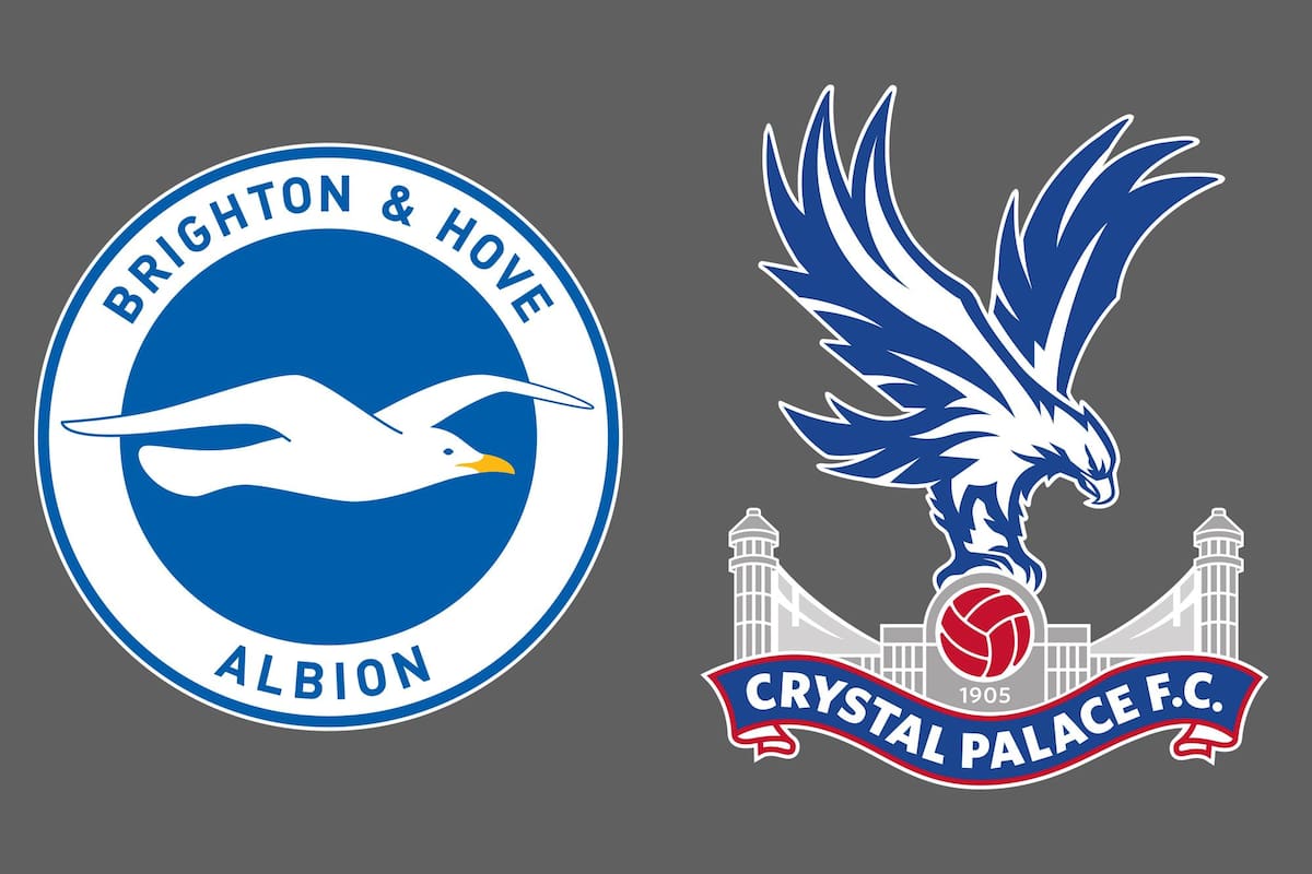 Brighton and Hove Albion y Crystal Palace disputaron uno de los encuentros de la jornada del fútbol inglés