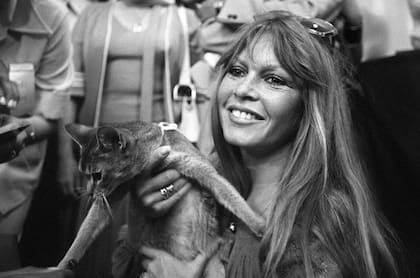 Brigitte Bardot tenía algo más de 40 años cuando decidió dedicar su vida a los animales