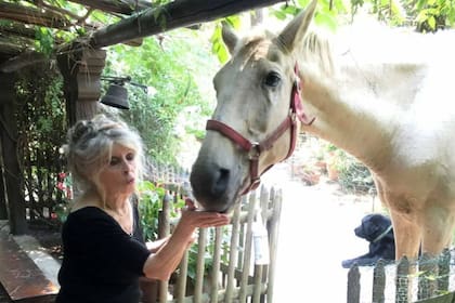 Brigitte cumple 90 años rodeada de muchos animales y pocas personas en su casa de La Madrague, en Saint-Tropez