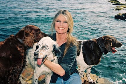Brigitte, inolvidable, en La Madrague, con sus perros