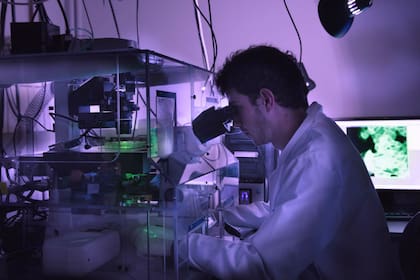 Brinda soluciones técnicas a las necesidades de la medicina humana y animal. Fuente: La Vanguardia.