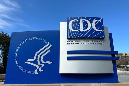 Brote de salmonela por huevos contaminados enferma a decenas en 7 estados de EEUU