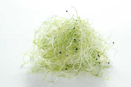 Brotes de puerro: una alternativa no tan conocida pero sumamente nutritiva