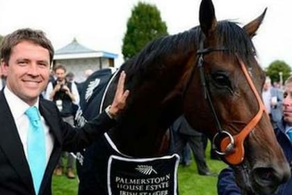 Brown Panther, ganador del Irish St Leger 2014, fue la mejor cría de Michael Owen