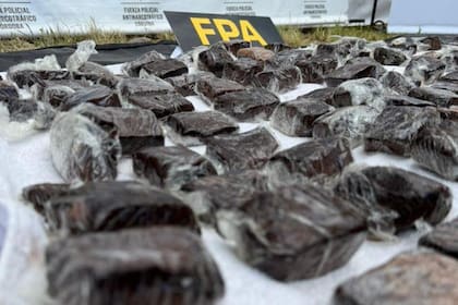 Brownies de marihuana secuestrados por la Fuerza Policial Antinarcotráfico en las inmediaciones del Cosquín Rock