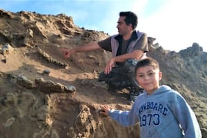 Bruno encontró los restos fósiles del perezoso en un acantilado en Miramar, en una zona conocida como La Ballenera