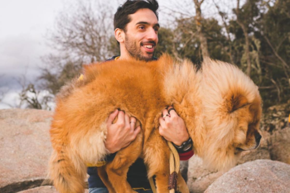Bruno, la mascota de Facundo Campazzo que brilla en Instagram