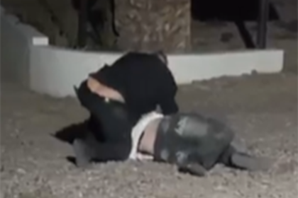 Brutal golpiza de dos patovicas a un adolescente de 16 años: quedaron imputados