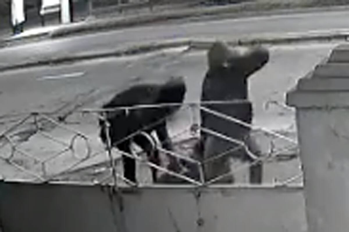 Brutal robo a una joven en Ruta 25 y El Salvador, en Moreno