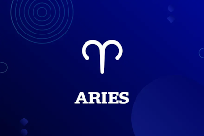 BSV ARIES