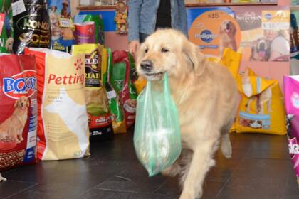 Buddy compra su propio alimento