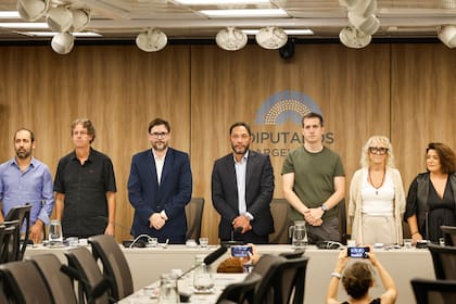 Buenos Aires 16mar26. Cámara de Diputados, Anexo Sala 1 .Conferencia de la comisión investigadora del Caso LIBRA, estafa con Criptomonedas.