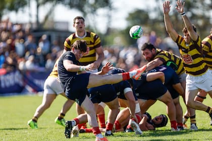 Buenos Aires Cricket & Rugby vs. Belgrano, por el Top 12 de rugby de URBA.